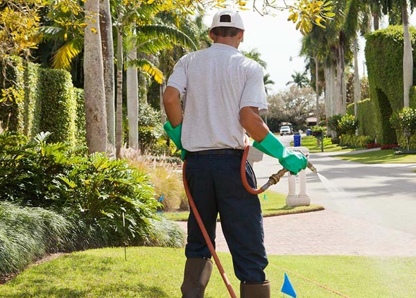 About Sturgis KY Pest Control